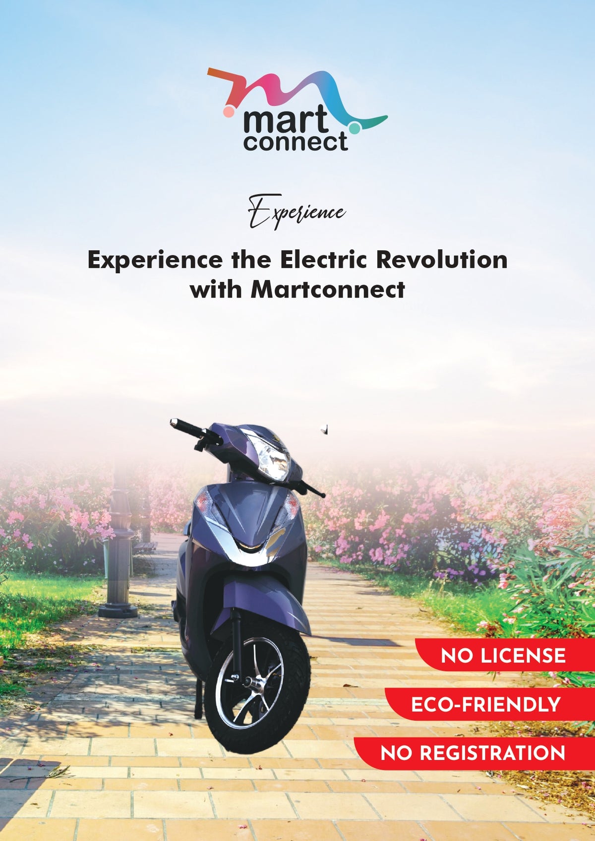 Experience the Electric Revolution with Martconnect